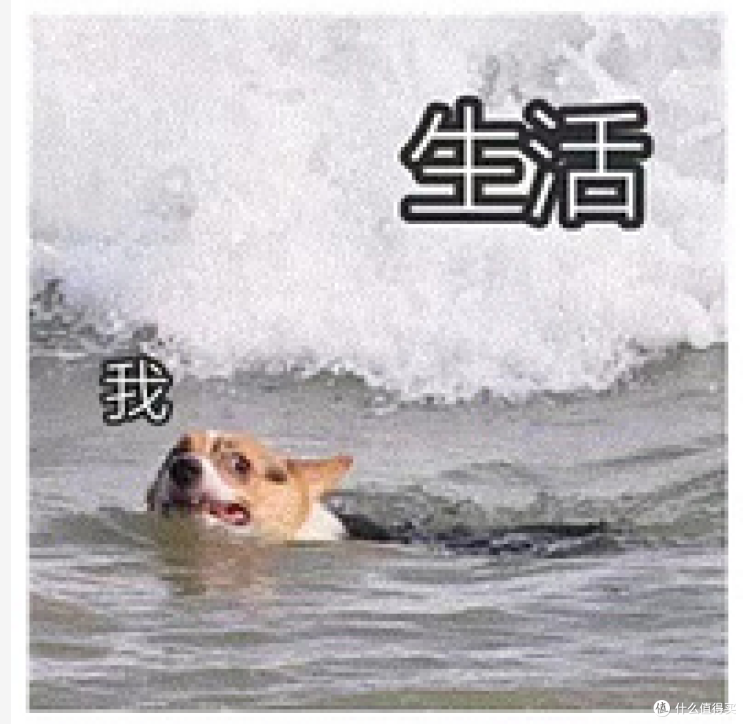 2022年燃气热水器推荐，主流燃气热水器哪个牌子好？8000元的燃气热水器是什么体验？