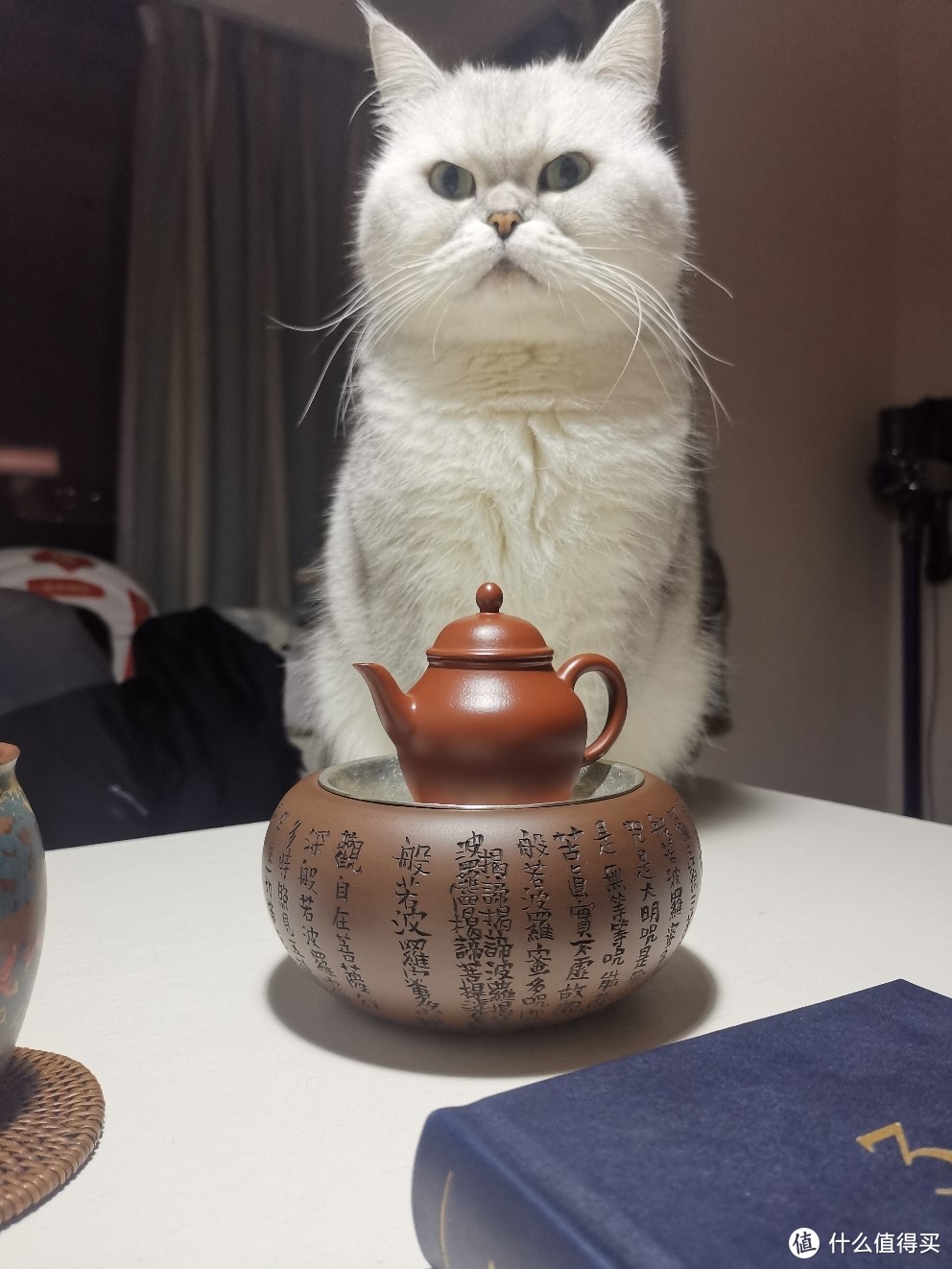 小猫咪也来凑热闹