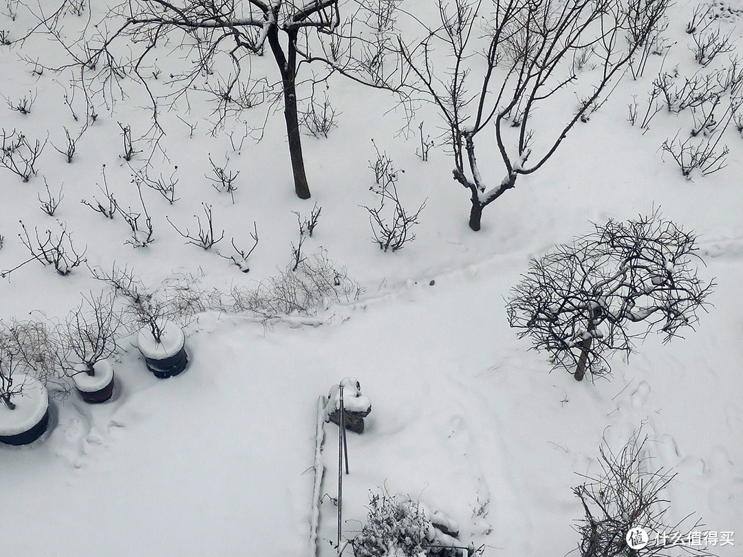 二月飘雪，用手机记录赶在节日前的浪漫
