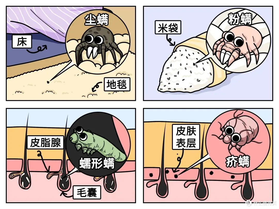 从根源上除螨虫这些方法你用对了吗