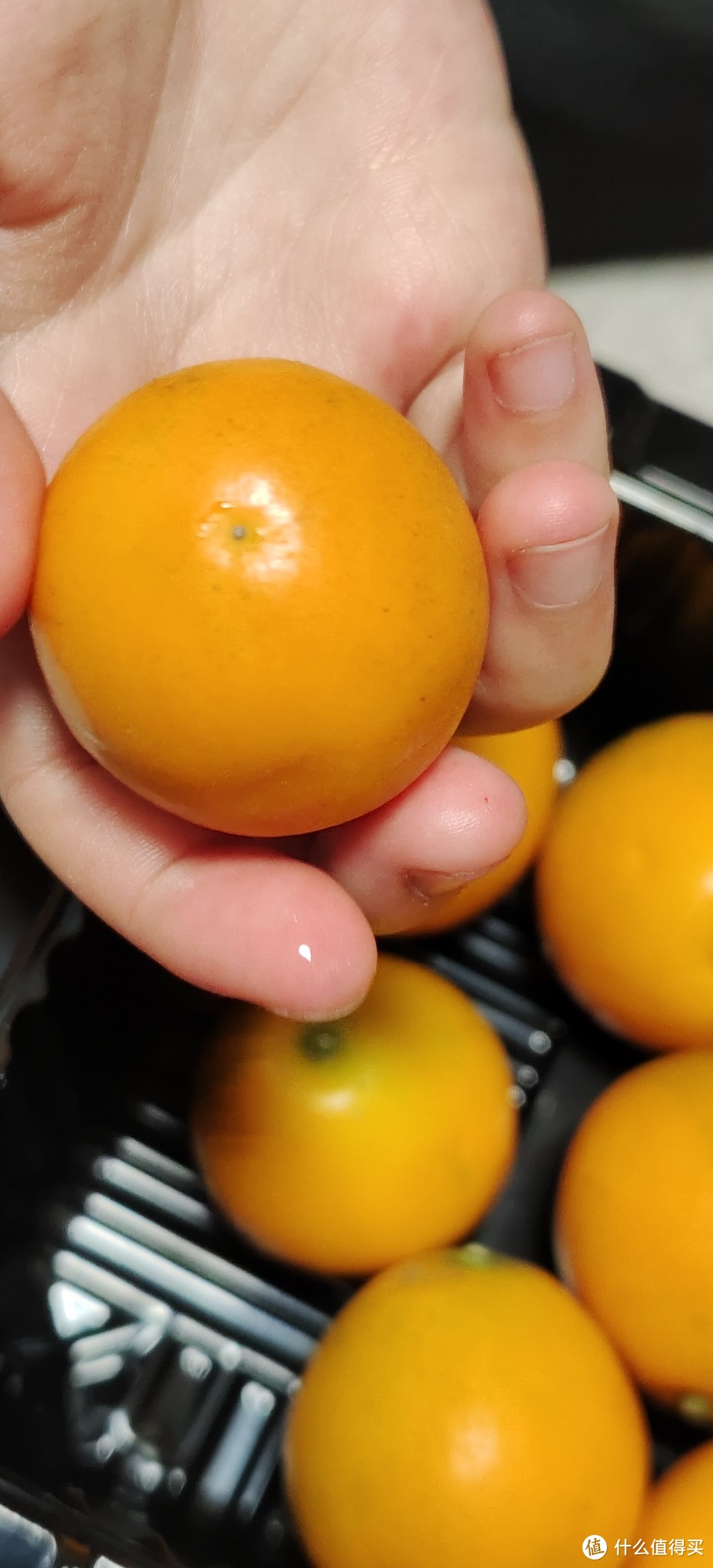 来自泰国的橘子金桔果/无籽金桔脆皮纯甜蜜金桔礼盒装4斤大果新鲜当季水果野生金桔蜜蛋