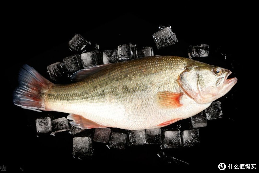 立春过后，5种最适合吃的淡水鱼，正是肥美好时候，爱吃鱼别放过