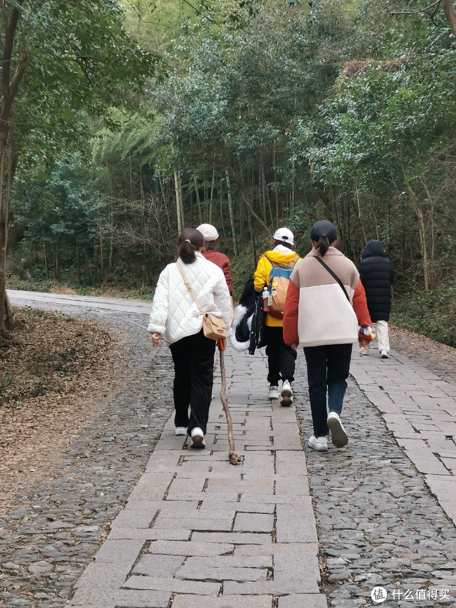 记录南京紫金山野路夜爬