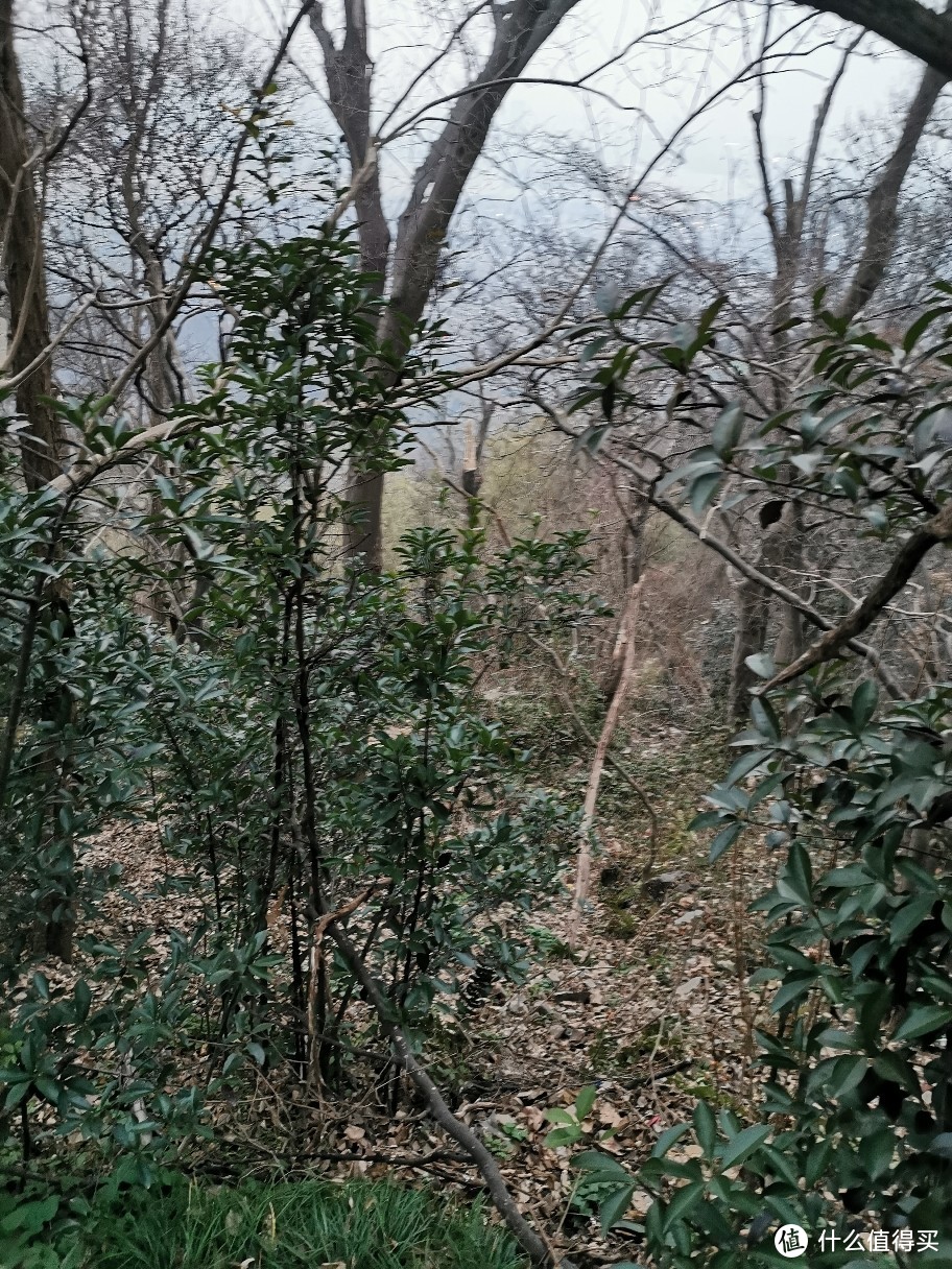 记录南京紫金山野路夜爬