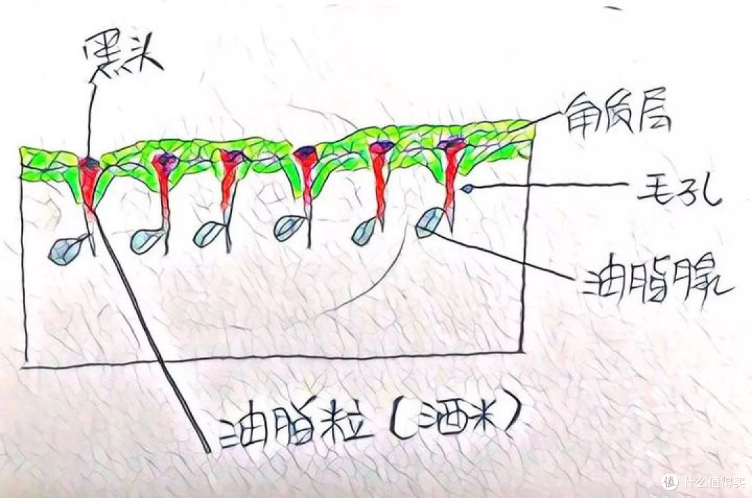 男士毛孔粗大，一篇说透，最强男士收缩毛孔护肤品推荐