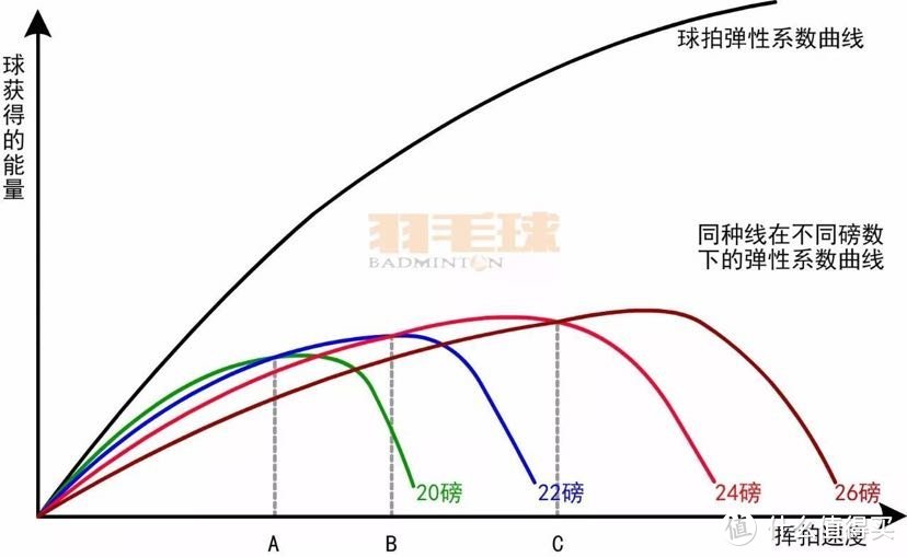 羽毛球拍怎么选？一篇文章教你成为挑球拍高手