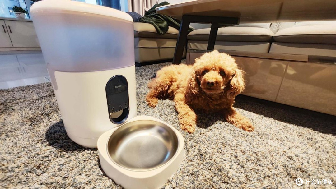 智能产品篇三 智能宠物喂食器 科学喂养家里的小可爱 宠物用品 什么值得买 智能产品篇三 智能宠物喂食器 科学喂养家里的小可爱 宠物用品 什么值得买