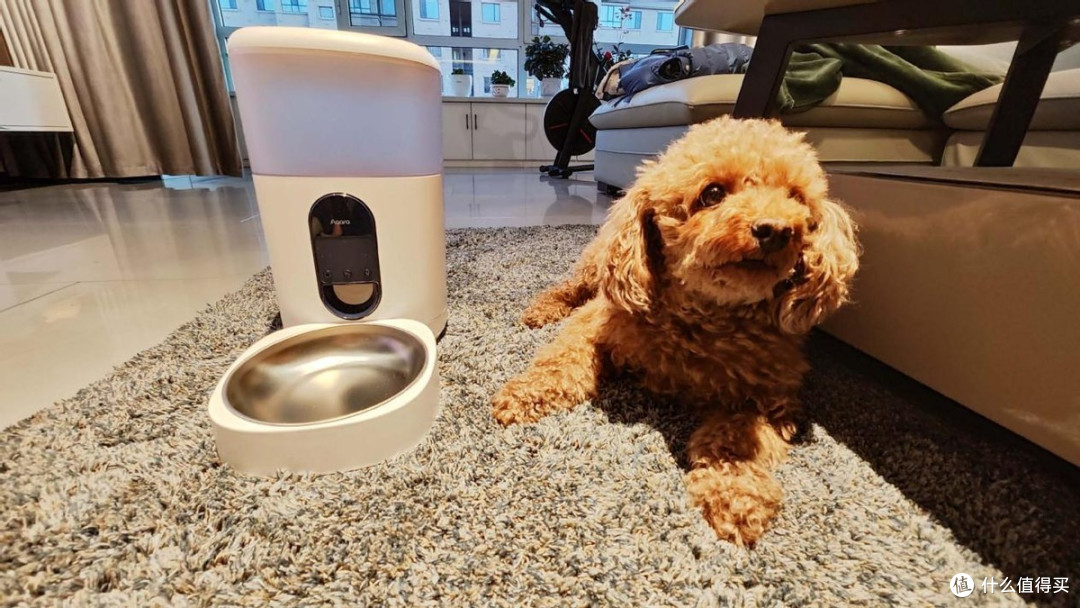 智能产品篇三 智能宠物喂食器 科学喂养家里的小可爱 宠物用品 什么值得买 智能产品篇三 智能宠物喂食器 科学喂养家里的小可爱 宠物用品 什么值得买