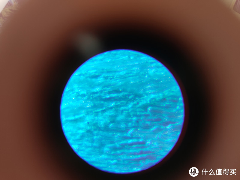 带你探索镜头下未知的世界，星特朗随身高倍显微镜体验