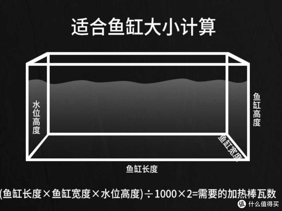 越养越多的极火虾，你也行！