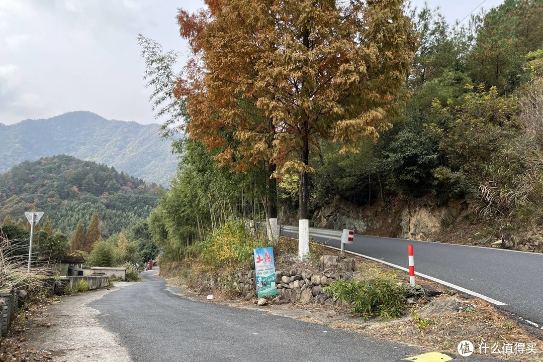 买菜车上山了，周末漫步指南村