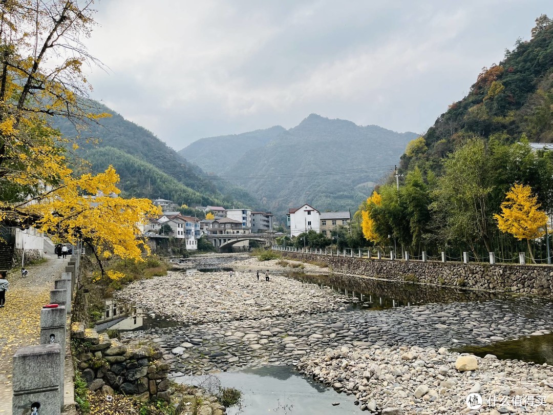 买菜车上山了，周末漫步指南村