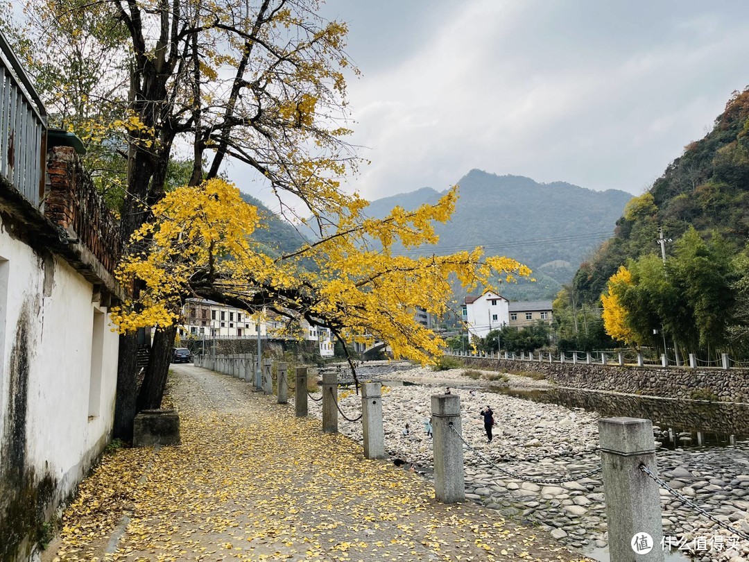 买菜车上山了，周末漫步指南村