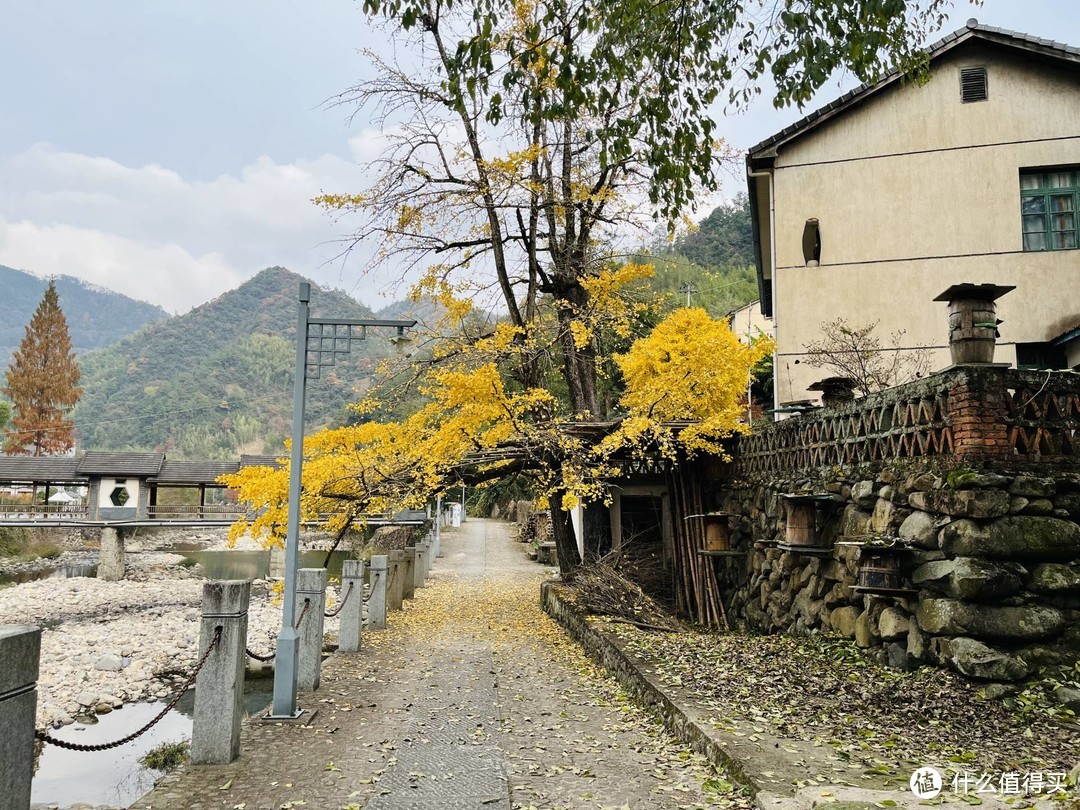 买菜车上山了，周末漫步指南村