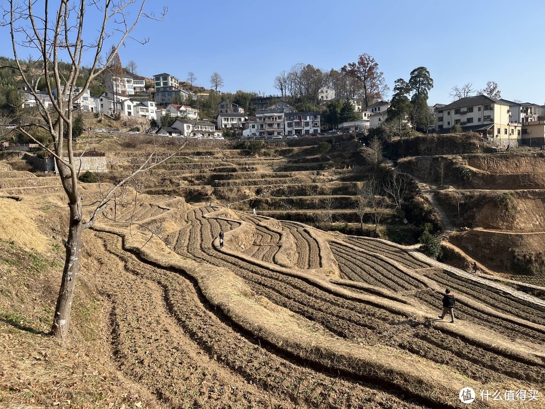 买菜车上山了，周末漫步指南村