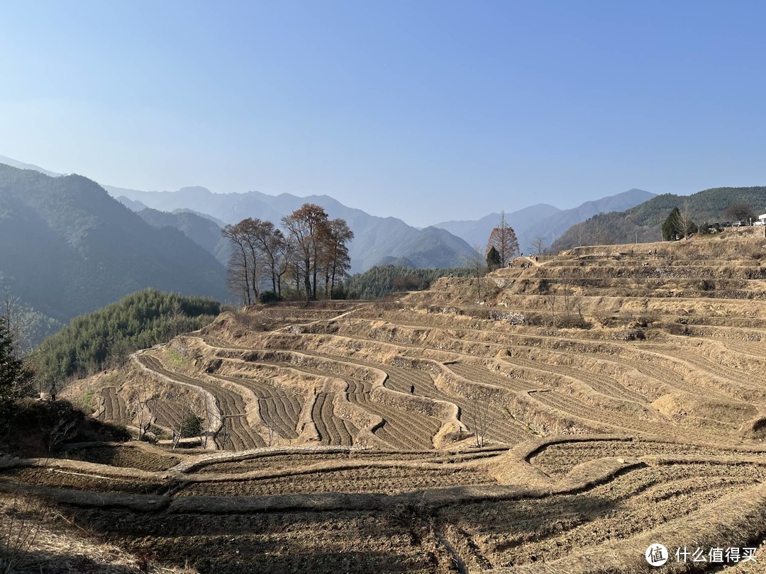 买菜车上山了，周末漫步指南村