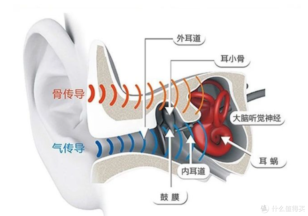 骨传导耳机也能谈音质？飞利浦A6606骨传导运动耳机试用测评