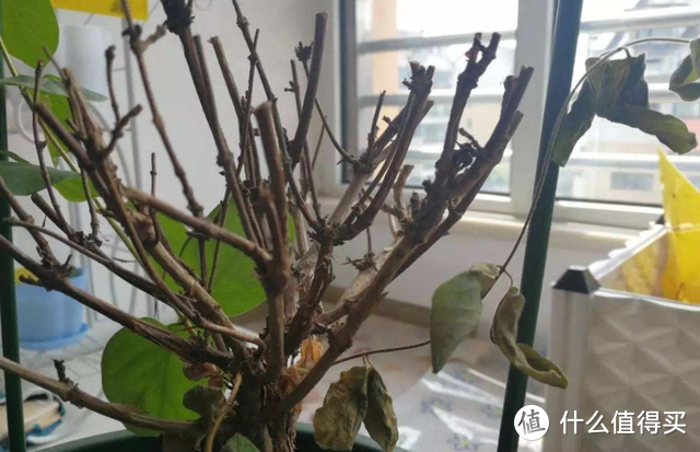 建议大家：不管多节省，这7件过时的旧东西能丢就丢，可不用心疼