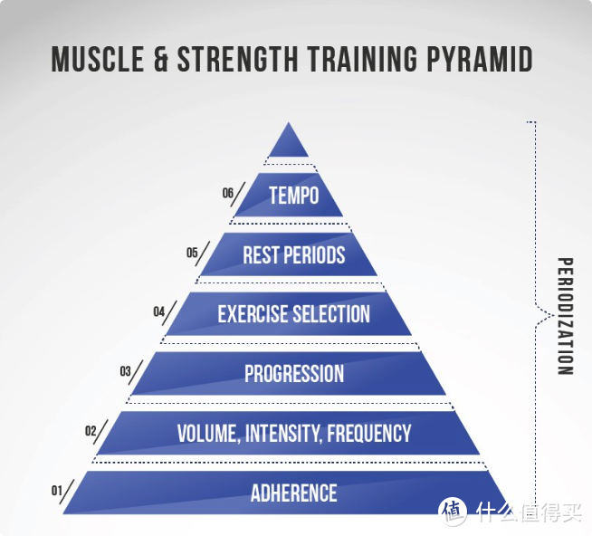 肌肉与力量训练金字塔之组间休息和节奏