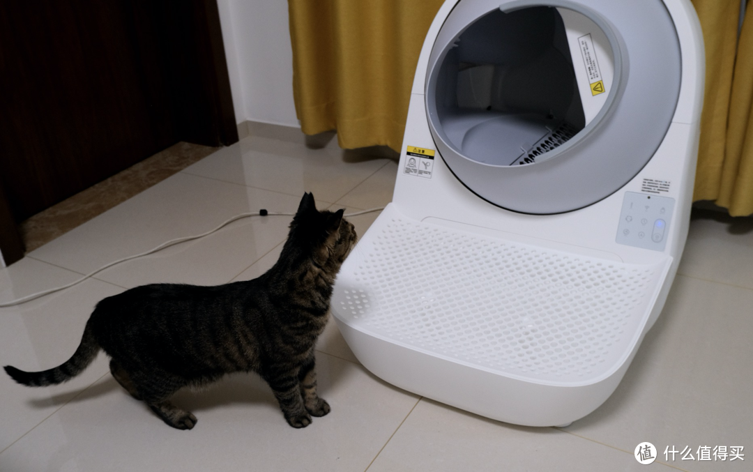 这是免费就能看的智能猫砂盆测评吗？是的！（大量干货）
