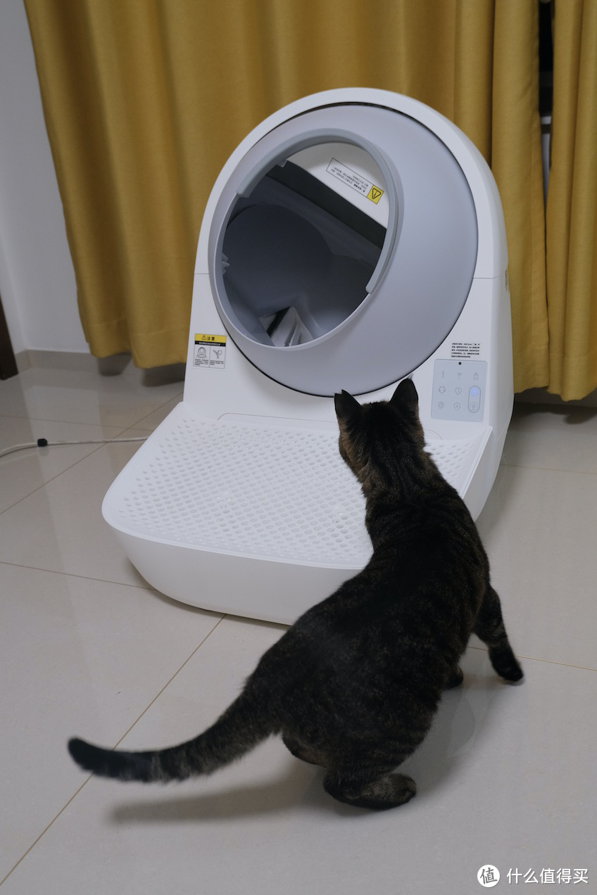 这是免费就能看的智能猫砂盆测评吗？是的！（大量干货）