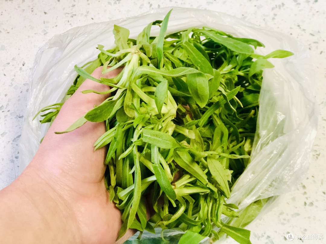 初春时节吃荠菜不如吃它人称面条菜上锅蒸着吃特别香