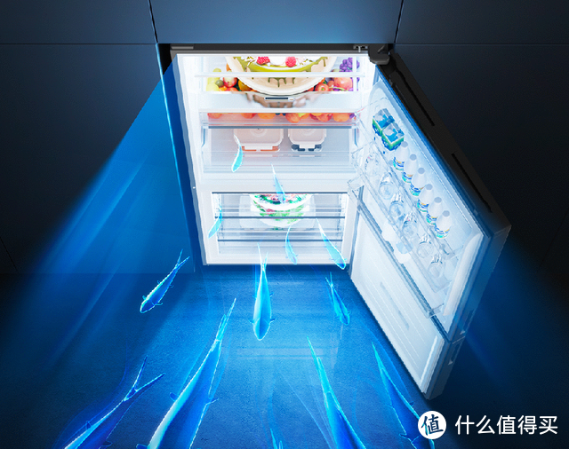 TCL精厨系列冰箱P10-B：内外兼修，打造年轻人的精致小厨房