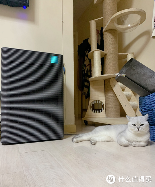 日立空气净化器家里养猫主子的一定不要错过！