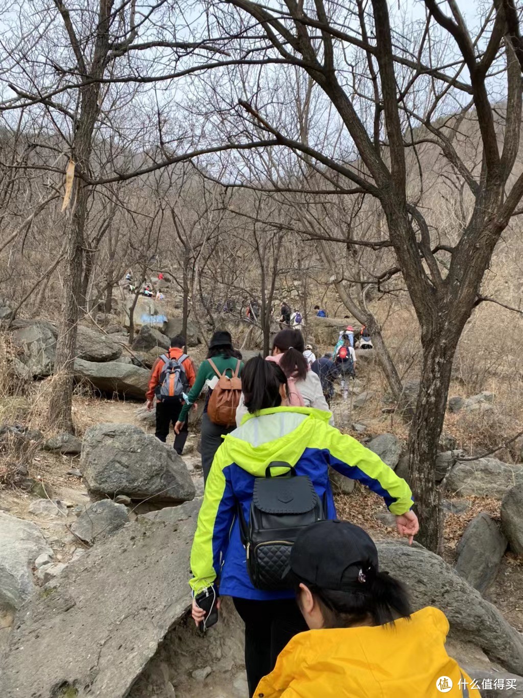 北京经典户外登山路线：香山邮局-好汉坡-望京楼-北京植物