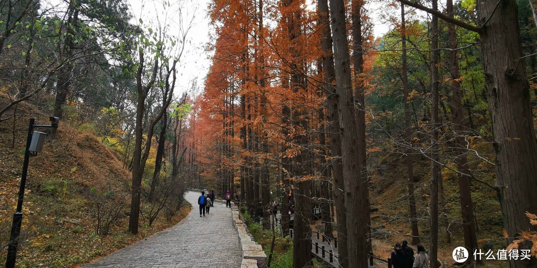 北京经典户外登山路线：香山邮局-好汉坡-望京楼-北京植物