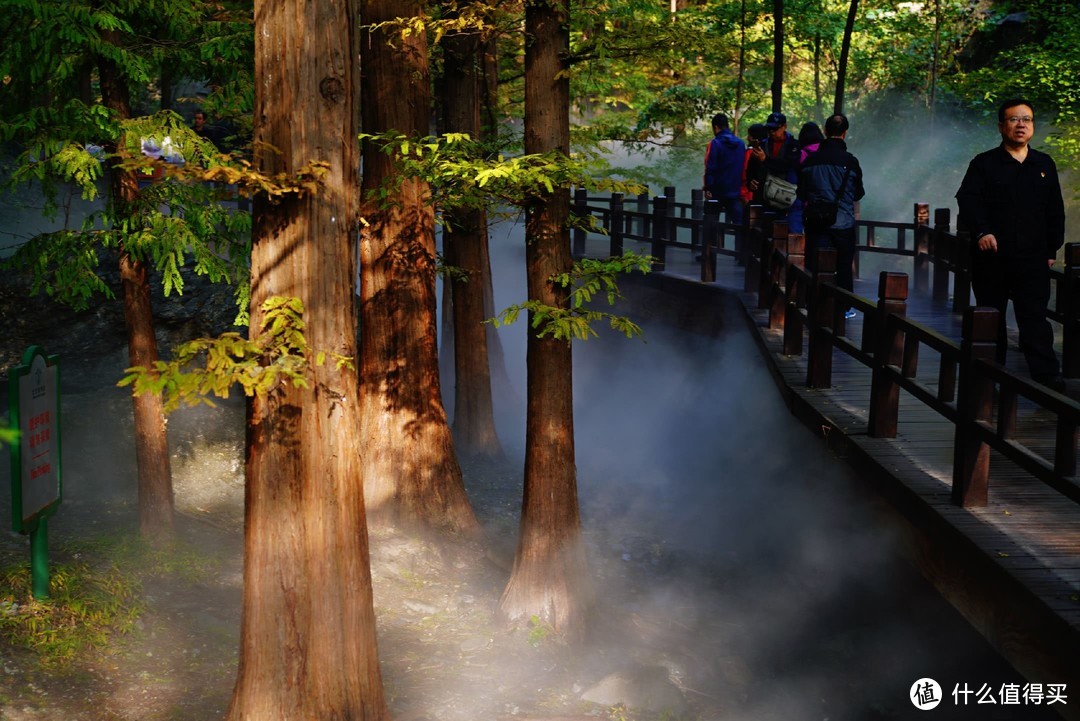 北京经典户外登山路线：香山邮局-好汉坡-望京楼-北京植物