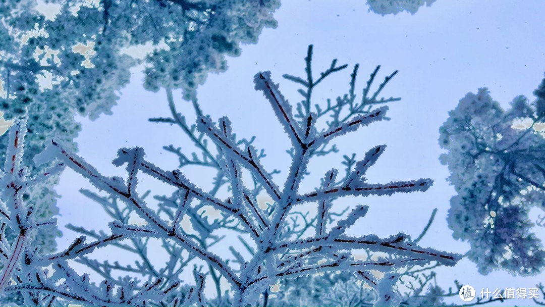 初春含鄱口的雪，附庐山赏雪建议