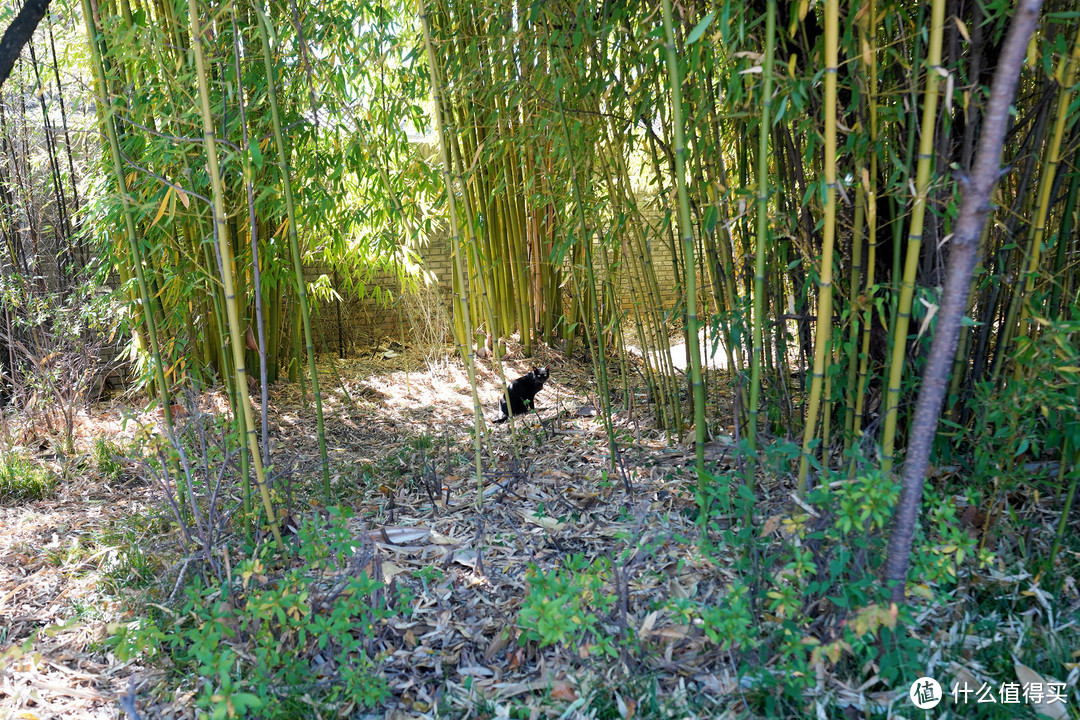 我在丽江铂尔曼的奇幻历程~下篇：泡池别墅体验