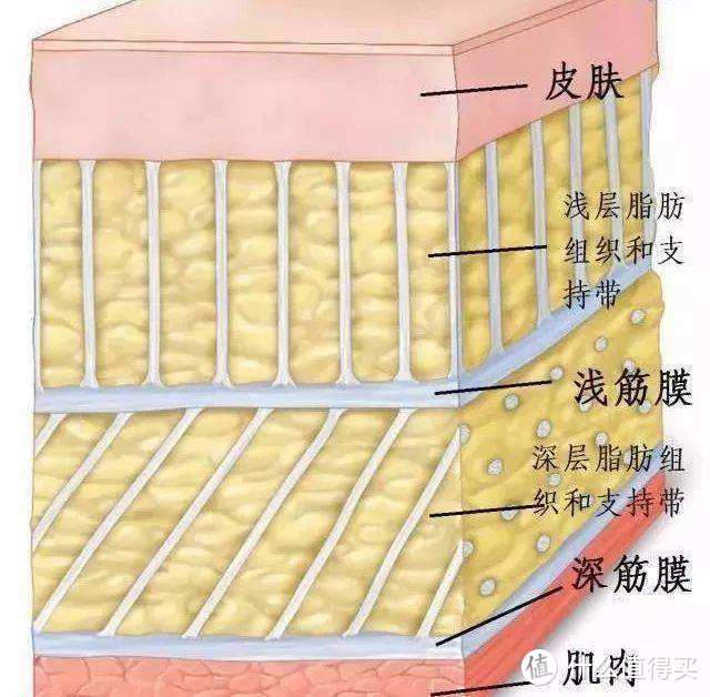 哪里都按得到的天花板筋膜枪THERAGUN PRO，除了放松肌肉他还能带给我们什么？