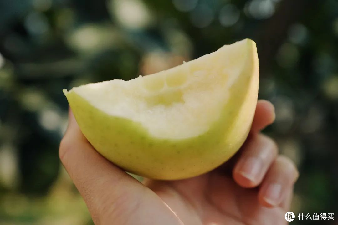 拜托！这些“上过大学”的美食你不会还没吃过吧！