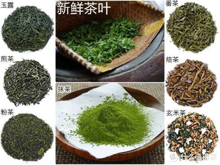 不止抹茶，了解日本8大茶类