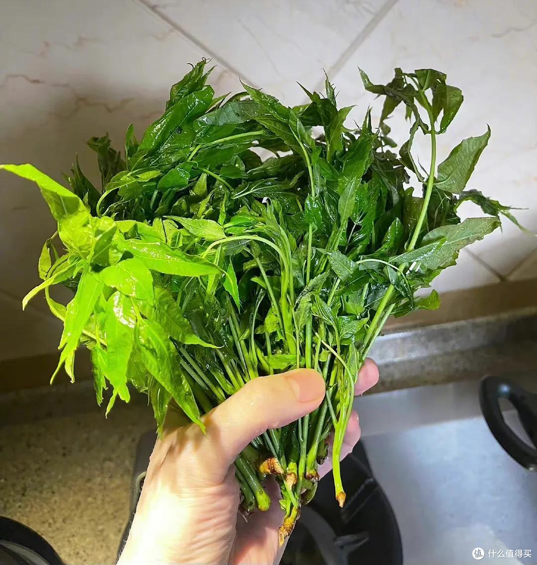 春暖复苏来尝尝这4样迎春菜鲜香美味吃光盘