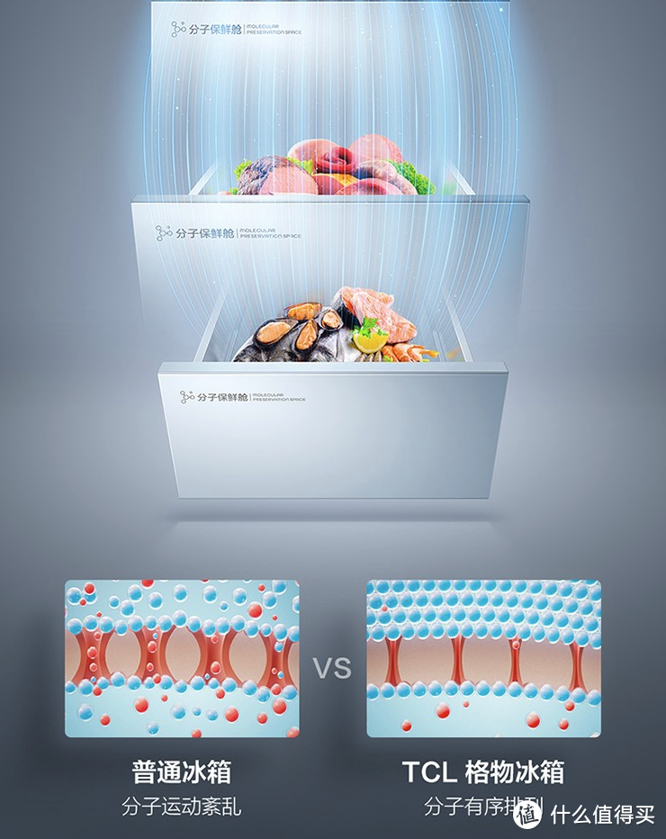 TCL发布格物系列冰箱新品：首创分子保鲜科技、十分钟急速净味