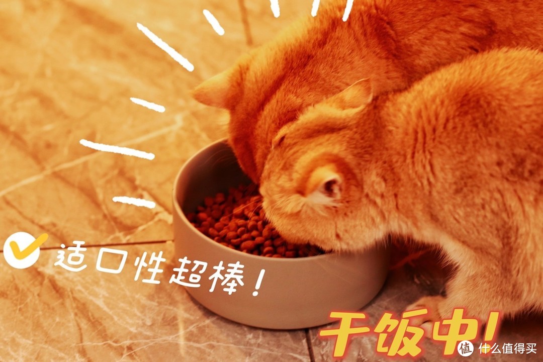 我不允许你们对百利高蛋白系列的鸡肉猫粮还有误解！