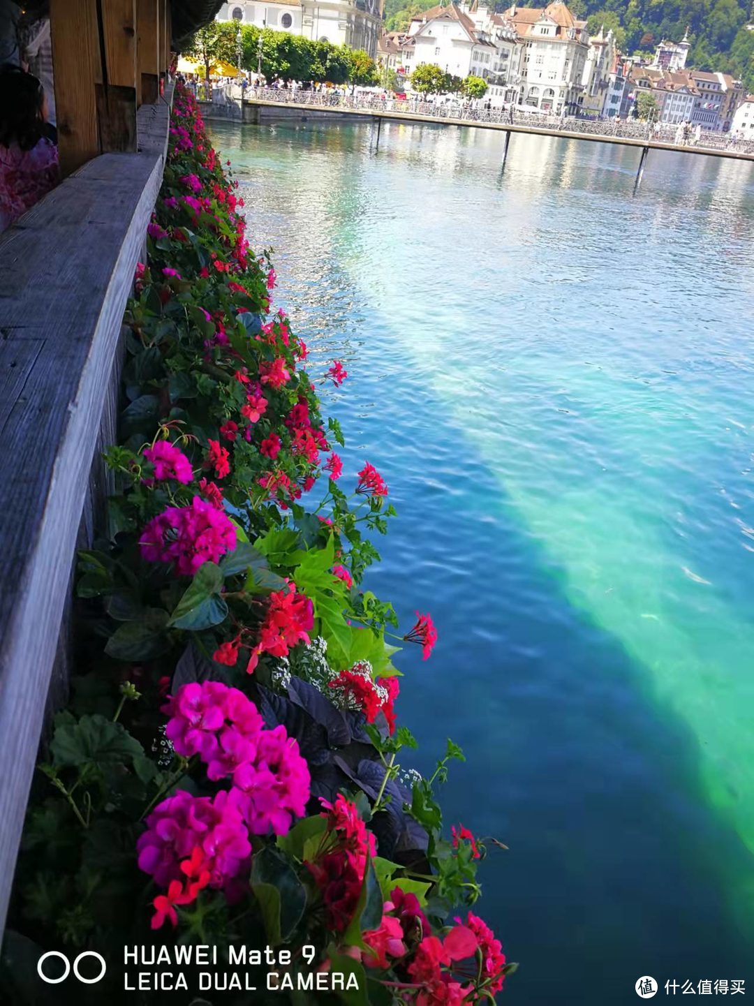 水塔花桥变的绿水红花