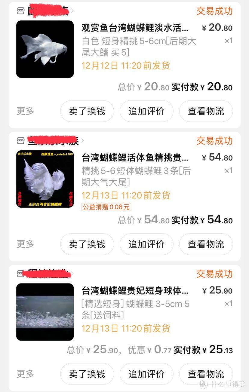 18元净水大作战—蝴蝶鲤鱼缸的翻车+净水记录