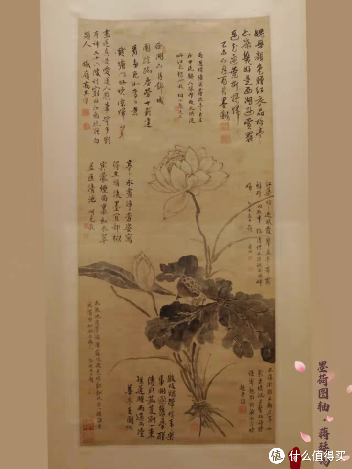 藏在上海博物馆里的“荷花”