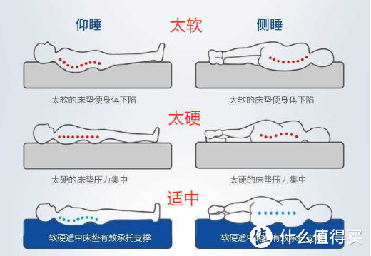 不同软硬度床垫对于脊椎的影响，过软或者过硬都不好。