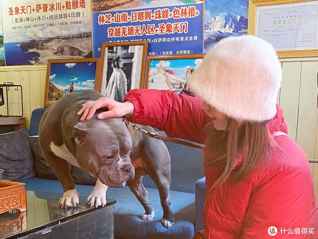 跟民宿帅气的狗狗说再见~