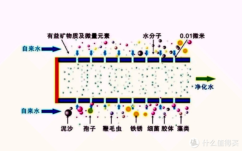 健康从饮水开始——高性价比家用反渗透纯水机推荐