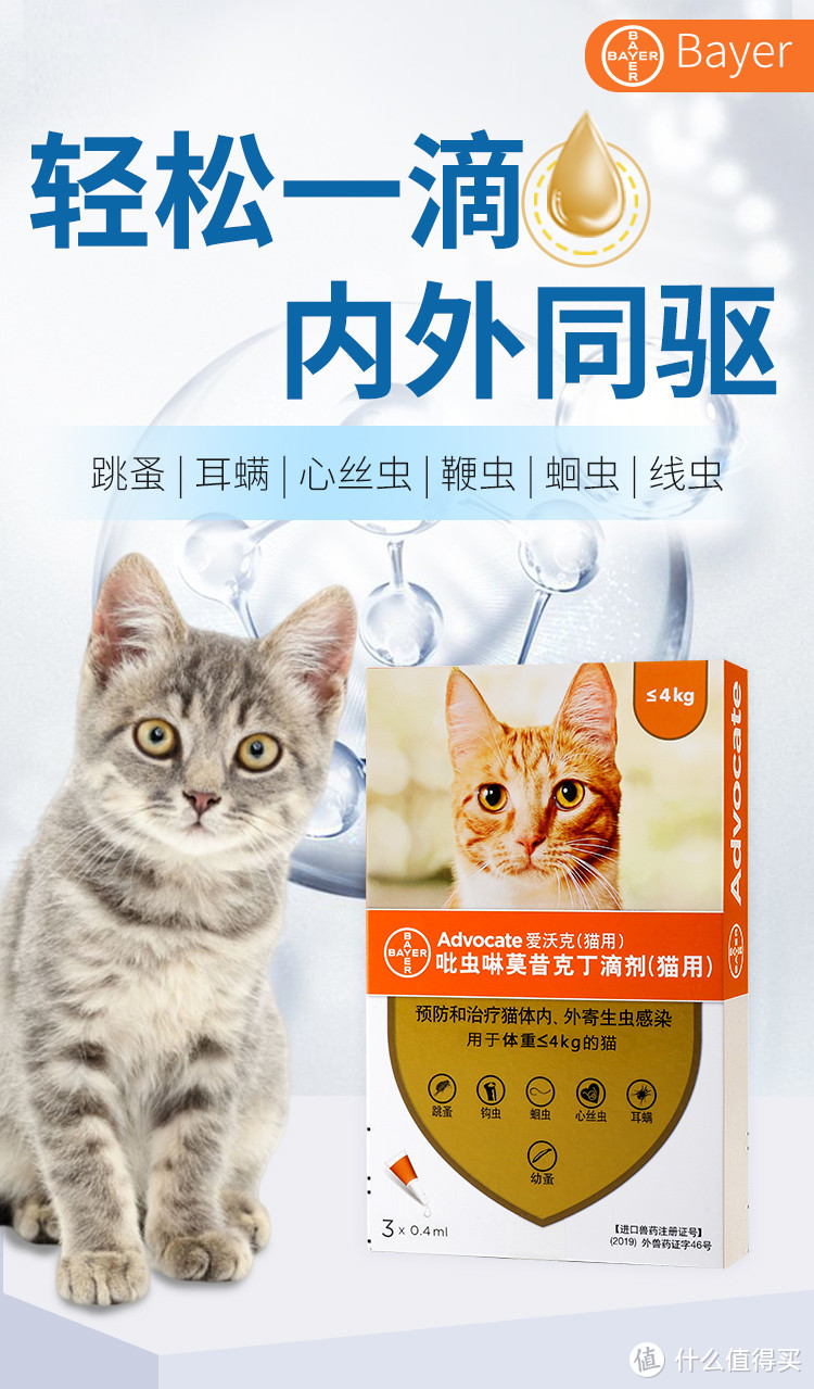 关于猫咪驱虫那点事儿，我用一篇文章就能给你讲的明明白白！