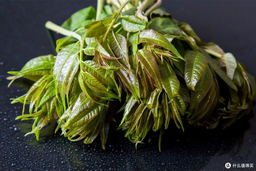 买香椿要学会区分红叶与绿叶差别不小搞清楚不吃亏