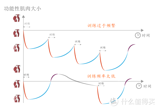 想要翘臀，一周需要练几次，怎么练？