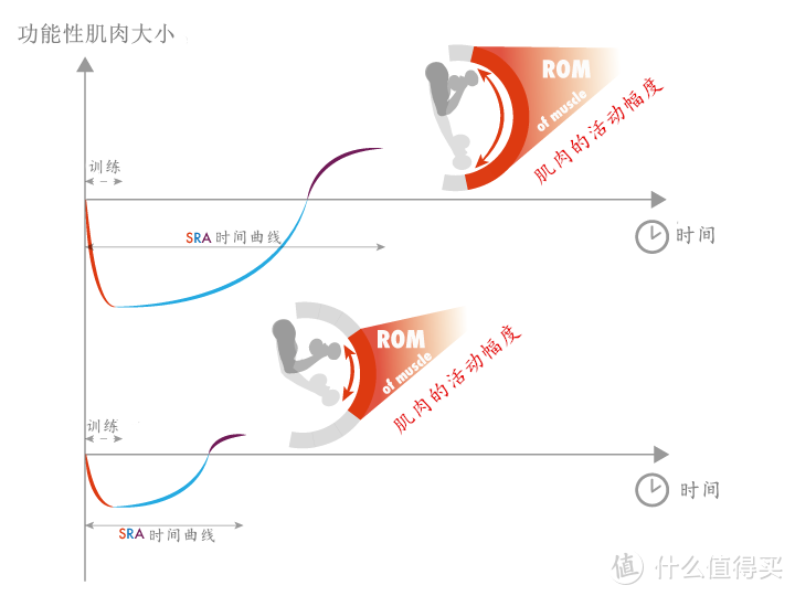 想要翘臀，一周需要练几次，怎么练？