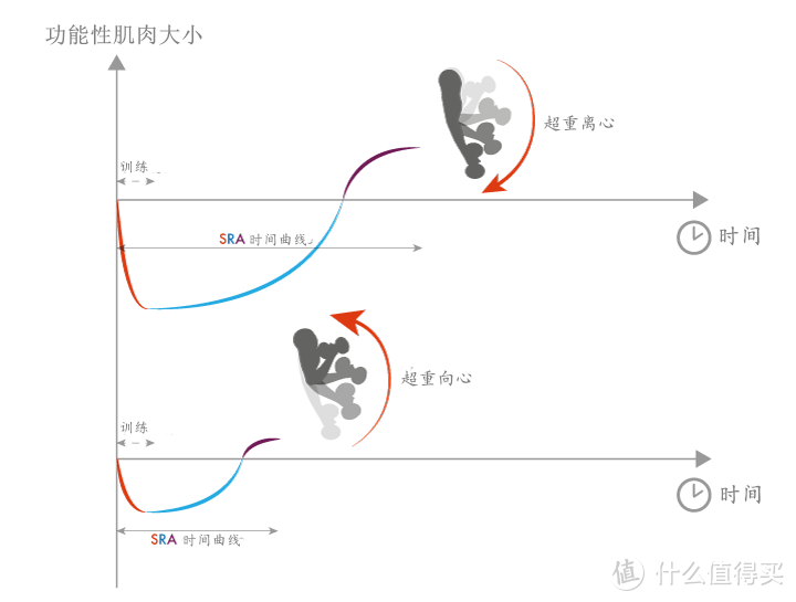 想要翘臀，一周需要练几次，怎么练？